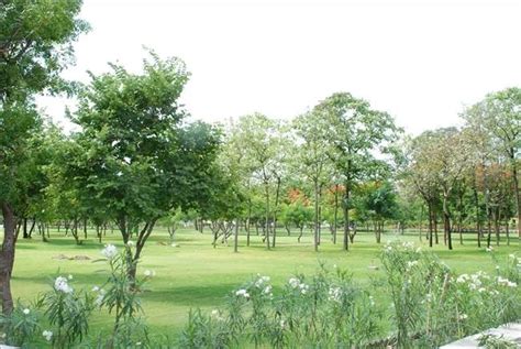 VIT Vellore 2025 CSE Cutoff – Category-wise Predicted Ranks for VITEEE ...