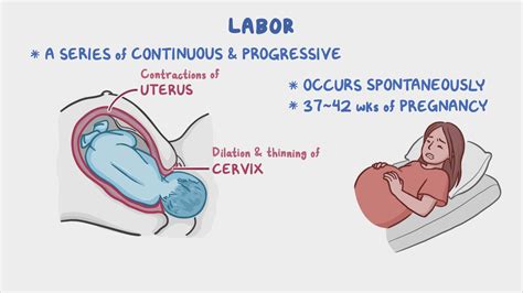 Phases And Stages Of Labor Chart