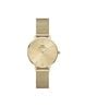 Buy Gold-Toned Watches for Women by Daniel Wellington Online | Ajio.com