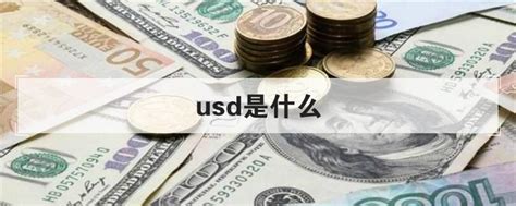 usd是什么币种汇率(usd是什么货币的缩写)_捷讯网