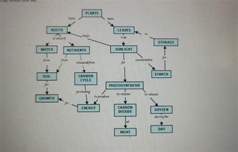 Image result for Genetic Engineering Concept Map