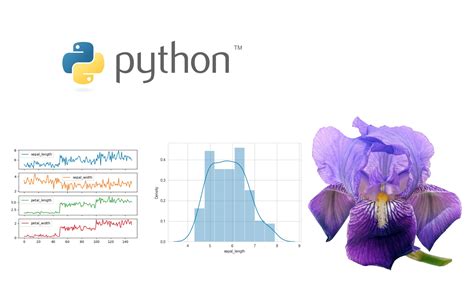 Image result for Python Compiler Graph