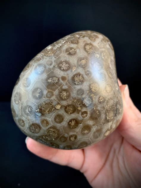 Beautifully Hand Polished Petoskey Stone