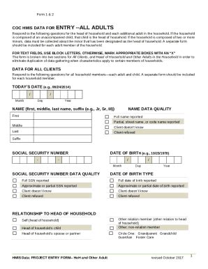 Image result for Hmis Data Entry Format