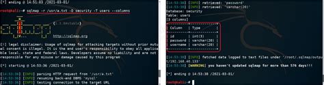 Sqlmap Hacking 的图像结果