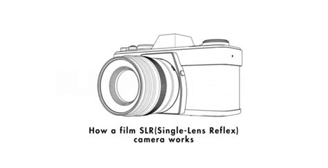 History of the Single-Lens Reflex Camera 的图像结果