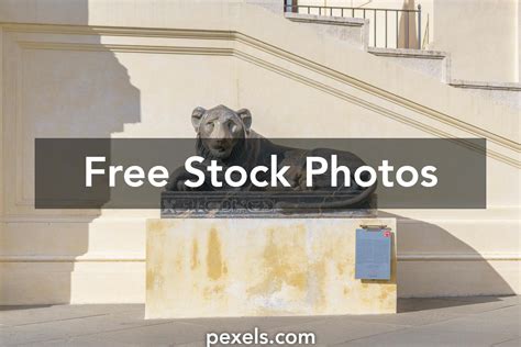 Image result for Free Pictures to Copy