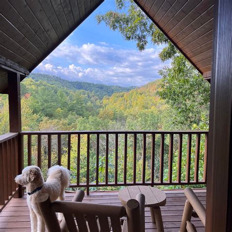 Pet Friendly :: Little Valley Mountain Resort