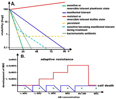 Innovative Strategies to Overcome Antimicrobial Resistance and Tolerance