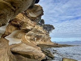 Image result for Machine Learning Project Report Sample Example O Format