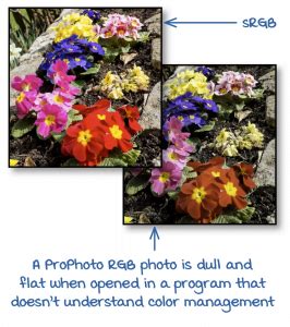 Image result for Color Space Software Subspace Setting