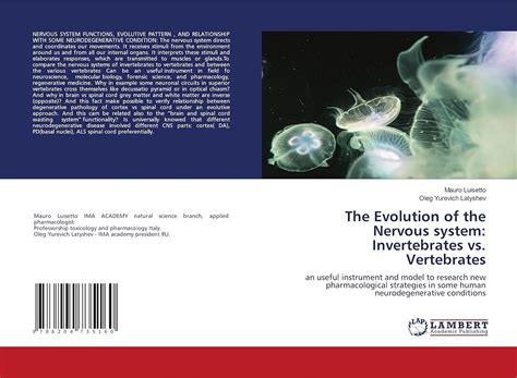 The Evolution of the Nervous system: Invertebrates vs. Vertebrates: an ...