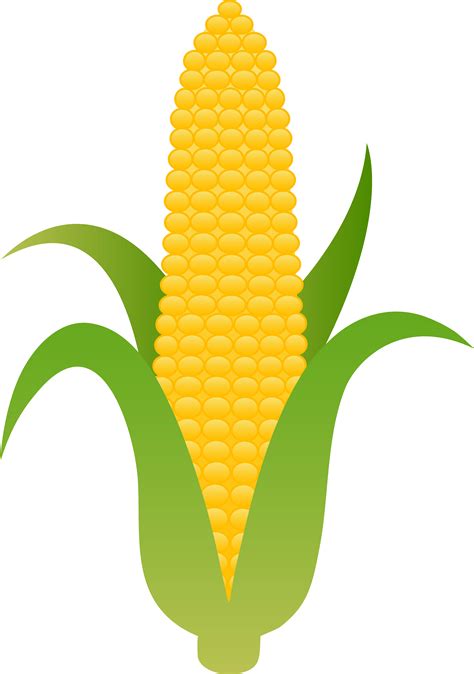 corn on the cob clipart - Clip Art Library