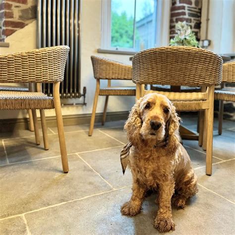 Booths by the Bridge Café in Tonna - Neath, Wales - Callum Guide