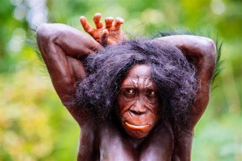 Image result for First Humans On Earth