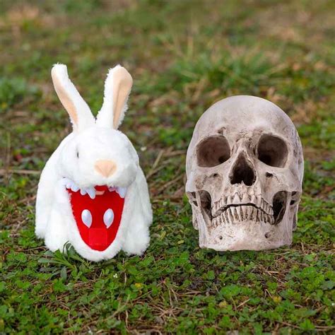 Image result for Monty Python Teeth