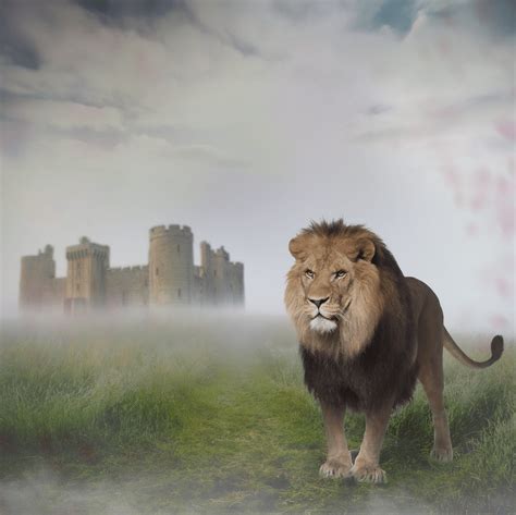 Narnia Aslan Wallpaper