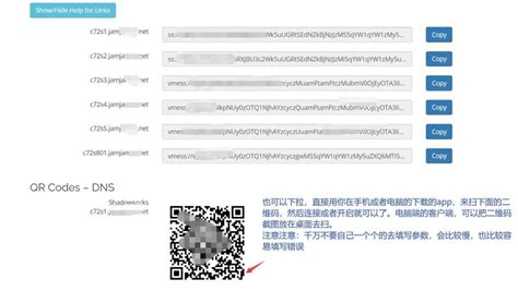 Speedcoding 的图像结果