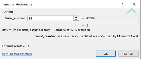 Image result for Excel Month Input Function