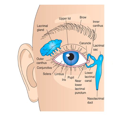 Image result for Visual Deficit Chart