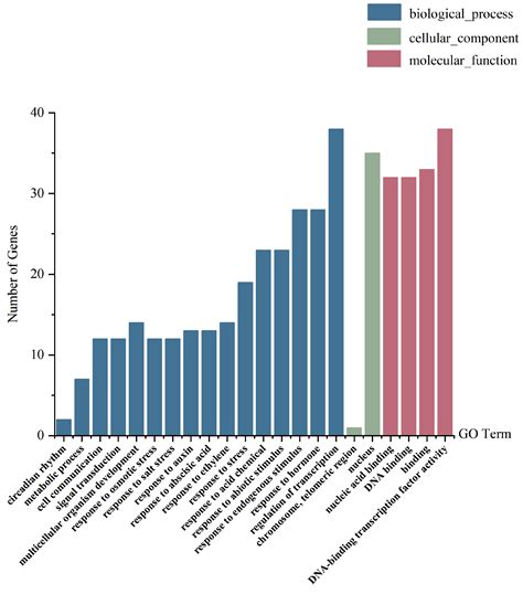 A Multi-Omics Analysis Revealed the Diversity of the MYB Transcription ...