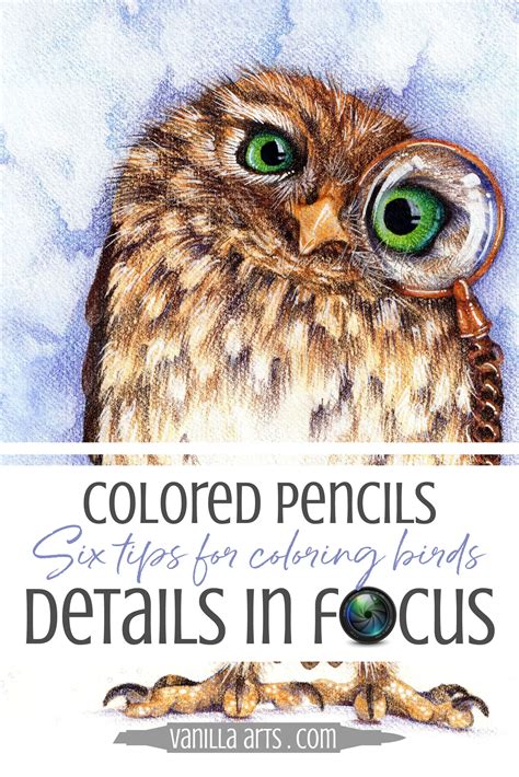 Cute Birds Drawing With Colour Pencil