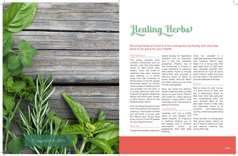 Image result for InDesign Practice