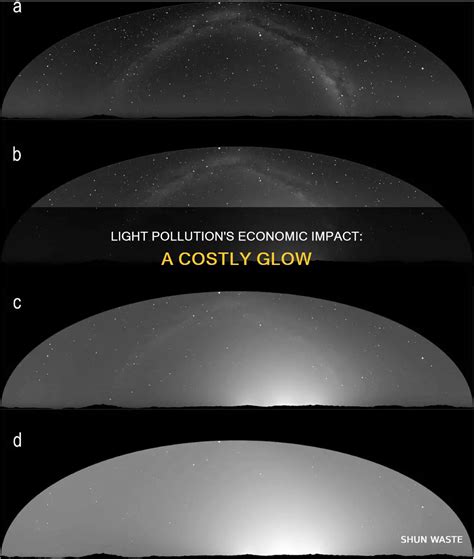 Light Pollution's Economic Impact: A Costly Glow | ShunWaste