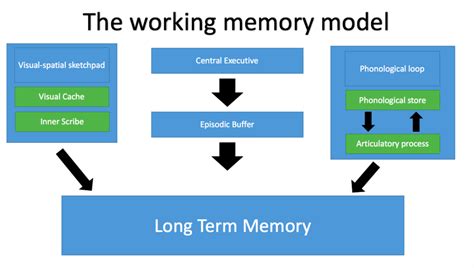 Working Memory 的图像结果