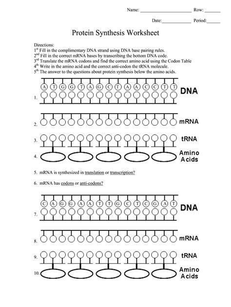 Image result for Protein Synthesis Race Answer Key