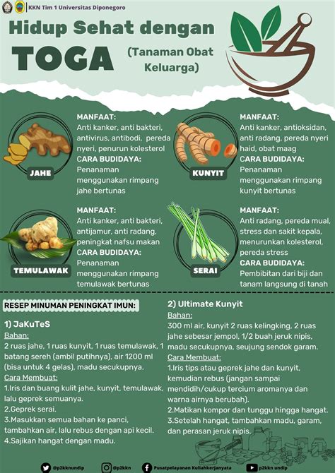 manfaat dari obat amoxicillin