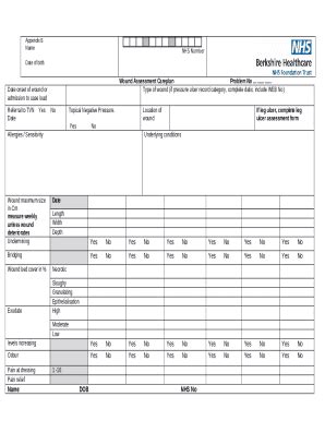 Wound assessment Doc Template | pdfFiller
