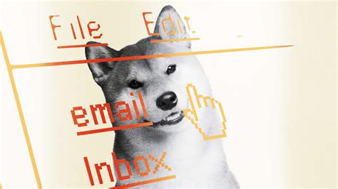 In DOGE lawsuit, judge declines to block White House emailing federal employees