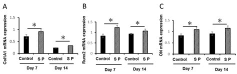 Amelogenin Exon 5 Peptide Promotes Cell Proliferation and Osteogenic ...