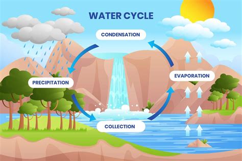 What Is The Source Of Water Cycle at Lara Tolmie blog