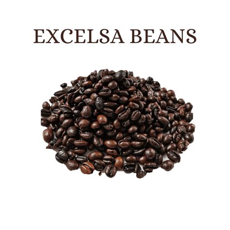 4 Different Types of Coffee Beans that you should Start Grinding