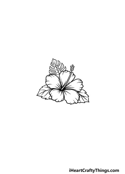 How to Draw A Hawaiian Flower - A Step by Step Guide | Hawaiian flower ...