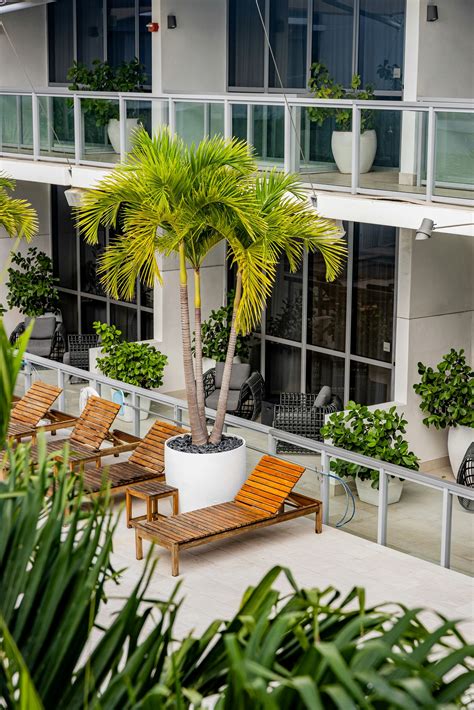 The Grayson Miami, Luxury Hotel in Miami, Florida, USA | Small Luxury ...
