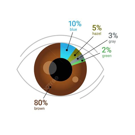 Global Eye Color Percentage Pie Chart Illustration Colorful Population Isolated Vector, Colorful ...
