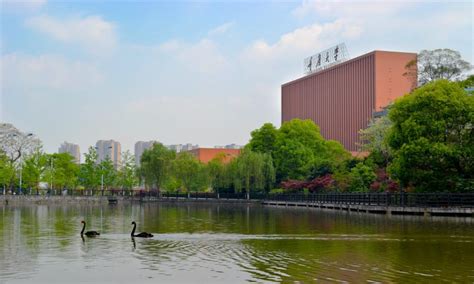 重庆大学如何把握“黄金期”，跻身世界一流？|重庆大学_新浪新闻