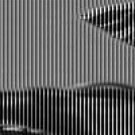 Image result for Python Panda Image Reshape