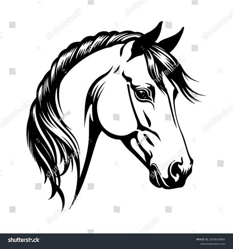 Black White Clip Art Horse: Over 8,983 Royalty-Free Licensable Stock ...