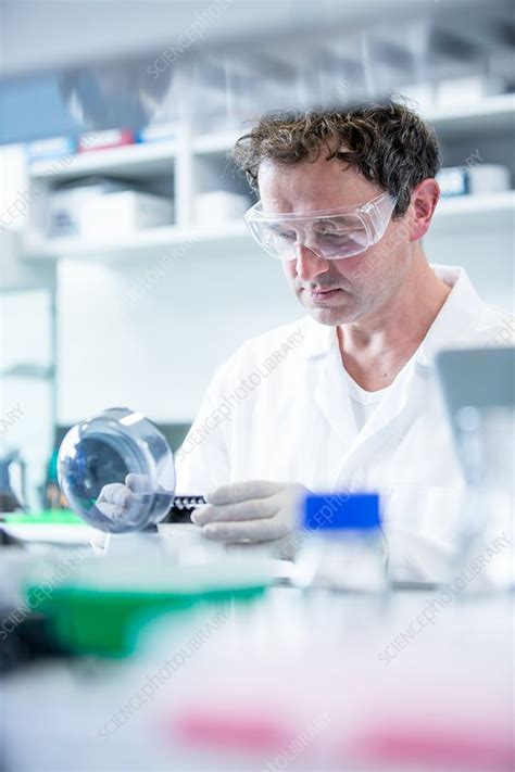 Image result for Computer Science Lab Assistant