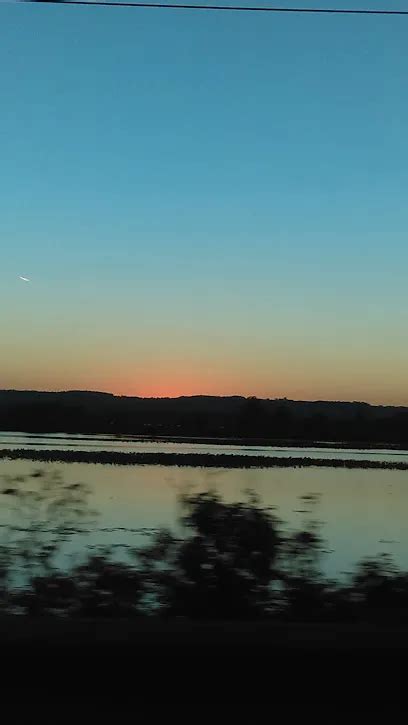 Seland Funeral Home - Funeral Home Pages