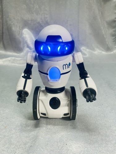 MIP Balancing Robot 的图像结果