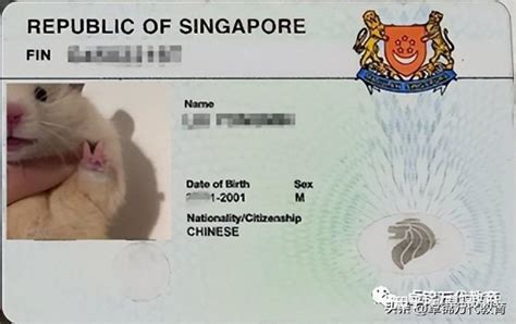 在新加坡，学生证/准证/新加坡PR卡遗失补发方法请收藏