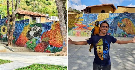 इस 23 साल के लड़के ने प्लास्टिक के 2 लाख ढक्कनों से दीवार पर बनाई 45 ...