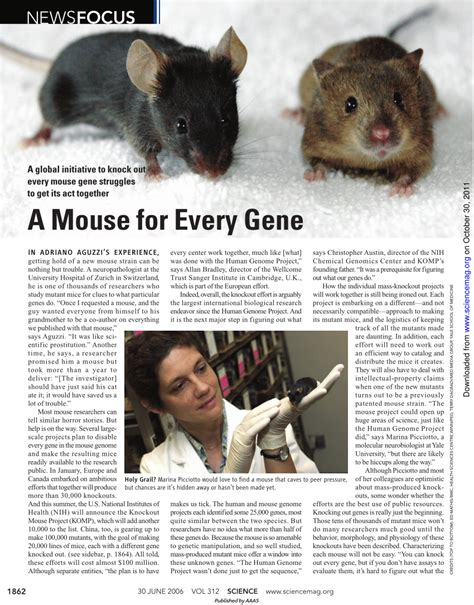 Image result for Mouse Genetics