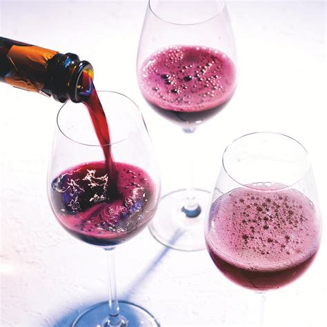 What Type Of Wine Glass For Lambrusco at Emmanuel Jones blog
