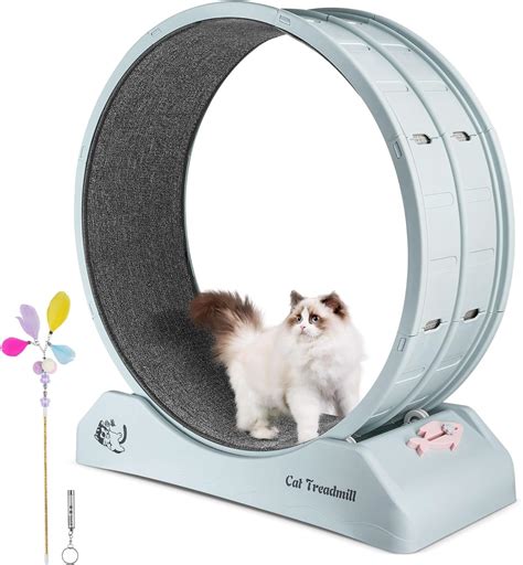 Novelfun Cat Treadmill Large Diameter Cat Running Wheel with Gray ...